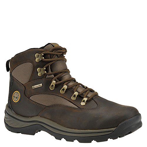 Timberland Men's Chocorua Trail Gore-Tex Mid Hiking Boot (13 D(M) US ...