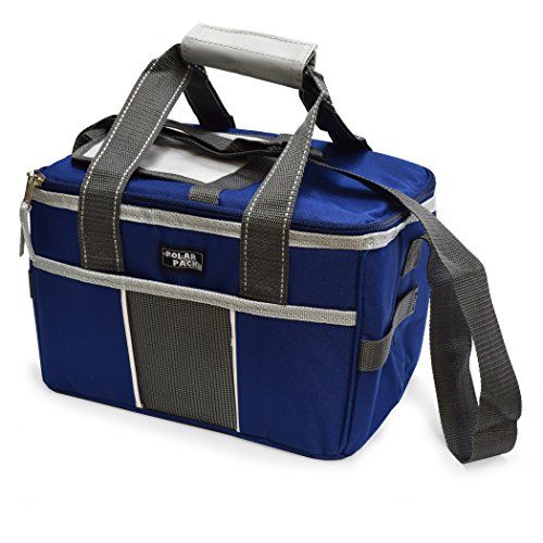 POLAR PACK 18 Can Double Handle Square Box Collapsible Cooler Bag Soft ...