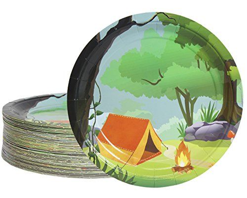 Disposable Plates - 80-Count Paper Plates, Camping Party Supplies for ...