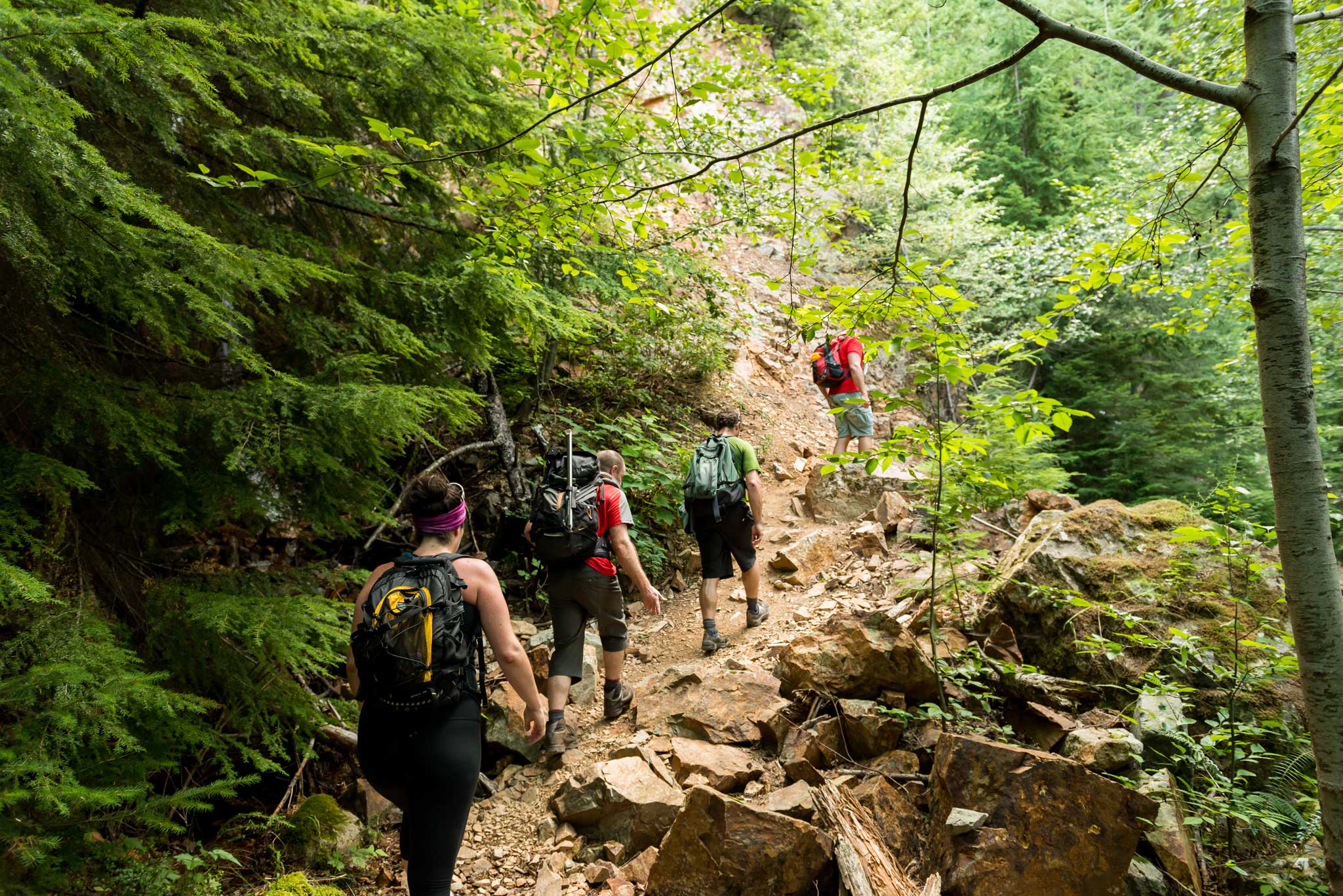 Lions Binkert Trail Hike Vancouver | All4Hiking.com