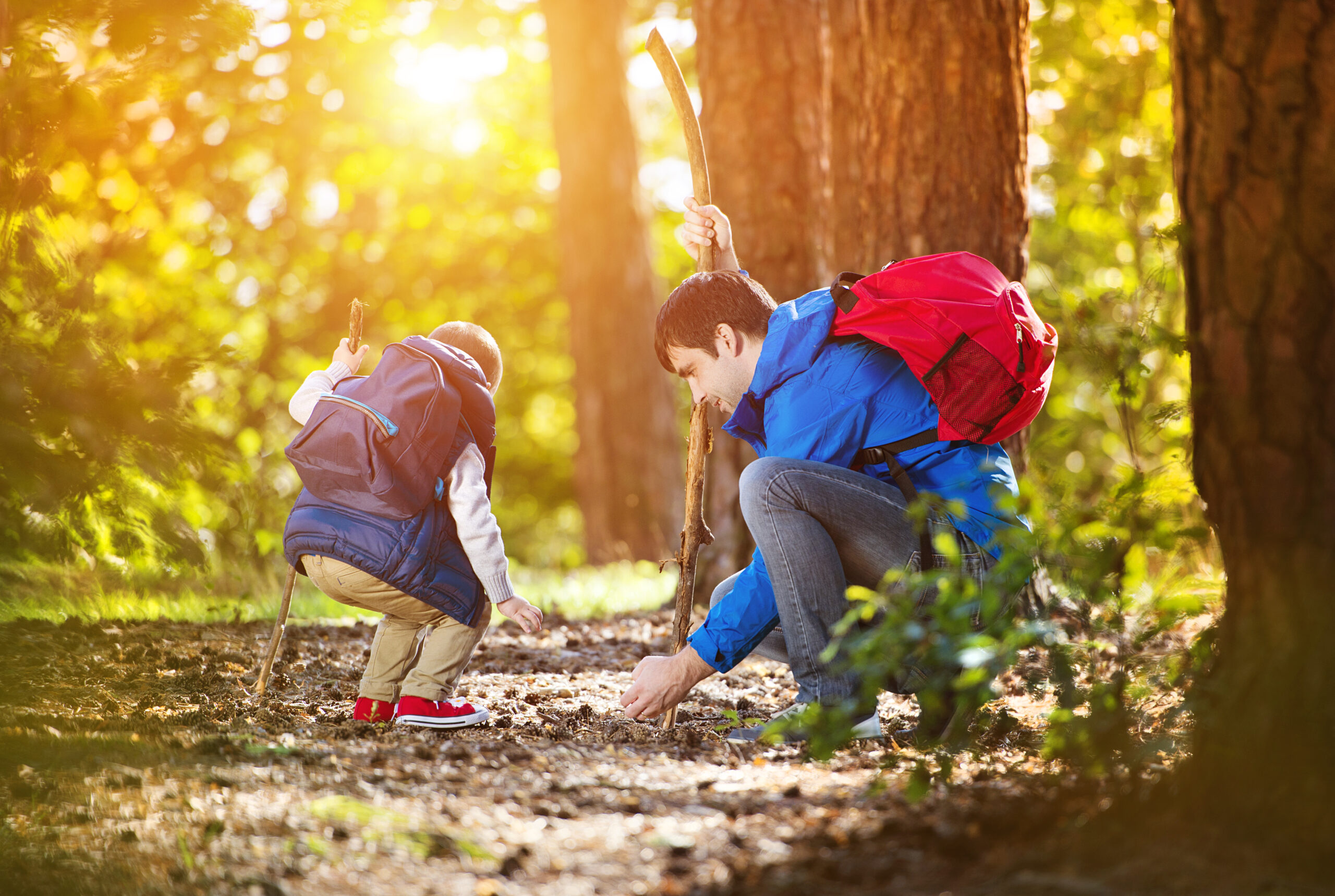 Summer Hiking Tips: Beat the Heat with These Eco-Friendly Tricks