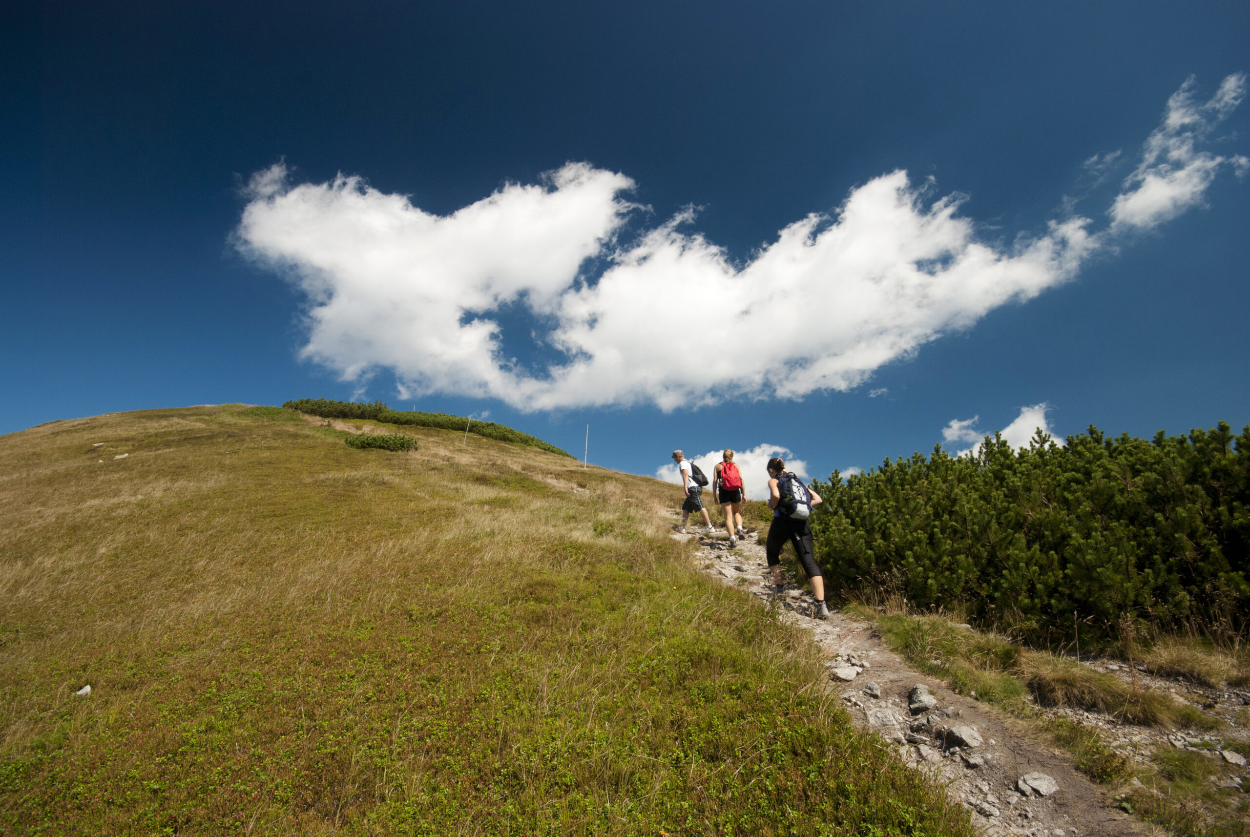 Exploring New Heights: Challenging Hikes for Adventurous Spirits